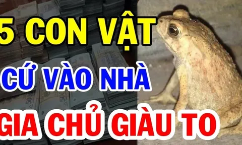 5 con vật vào nhà Thần Tài ghé thăm: Càng ở lâu càng giàu có