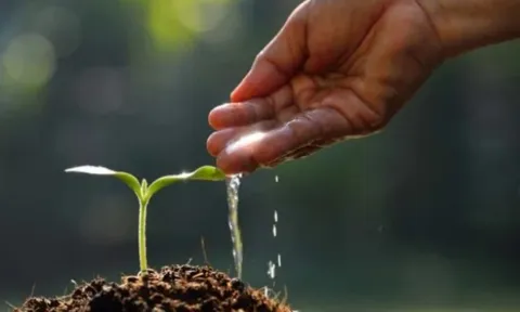 Có 4 quy luật mà cuộc sống mang lại phước lớn, ai làm được 1 điều thôi cũng đủ tốt rồi