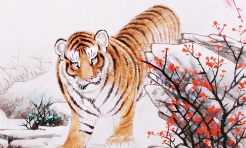 Tử vi tuần mới 16-22/3: Dần có quý nhân chỉ lối dẫn đường, Tý tránh "họa từ miệng mà ra"