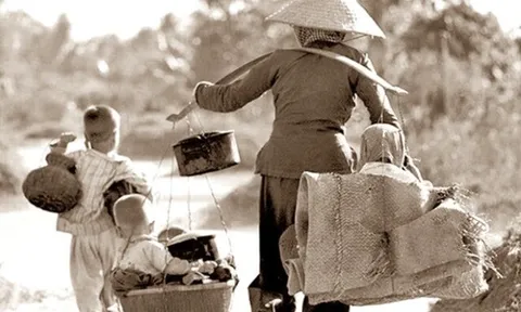 Vì không nuôi nổi, mẹ nghèo đành cho con đi, 66 năm sau mới có duyên đoàn tụ thì mẹ không còn nữa