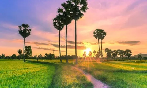 Tỉnh nào ở miền Nam được mệnh danh là “Vùng đất Thánh”, nơi đâu gắn với dấu tích của vua Gia Long trong sử Việt?