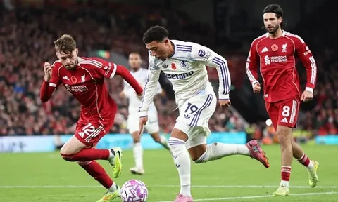 Gary Neville bảo lưu dự đoán Liverpool dự Champions League