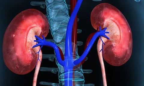 5 dấu hiệu vào ban đêm chứng tỏ thận của bạn rất khỏe mạnh