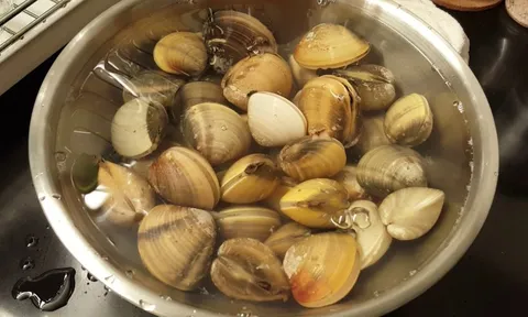 Mẹo làm ngao nhả sạch cát chỉ mất 15 phút