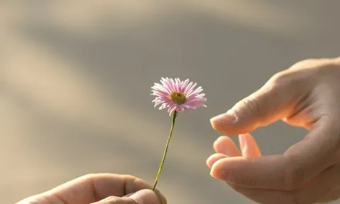 Quý nhân chờ sẵn phía trước: 3 cung hoàng đạo chỉ cần chăm chỉ và biết lắng nghe sẽ sớm hóa giải khó khăn