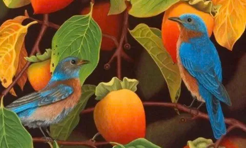 4 tháng sinh âm lịch của người có khí chất nổi bật: Càng về sau càng thành công rực rỡ