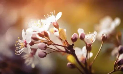 Sinh ra là để làm việc lớn, rạng danh dòng họ: 4 khung giờ âm lịch của người bản lĩnh, mạnh mẽ