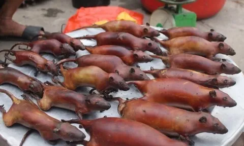 Đặc sản chỉ có ở Tuyên Quang, nhìn "sợ khiếp vía" nhưng thơm ngon khó cưỡng, giá 90.000 đồng/kg