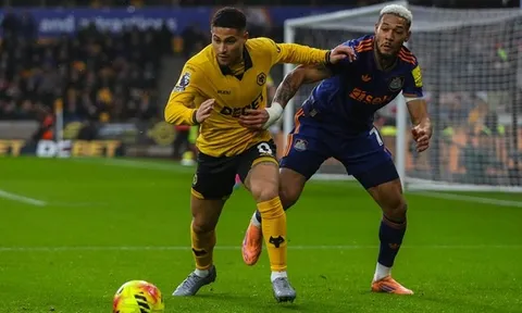 Man Utd tranh giành "máy quét" Joao Gomes với Newcastle