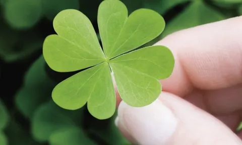 Ai có 1 trong 3 "mùi" này trên cơ thể là dấu hiệu của người có may mắn lớn, ăn sung mặc sướng