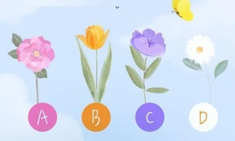 Trắc nghiệm năm 2026: Cuộc sống của bạn sẽ nhàn nhã, êm ả hay vất vả?