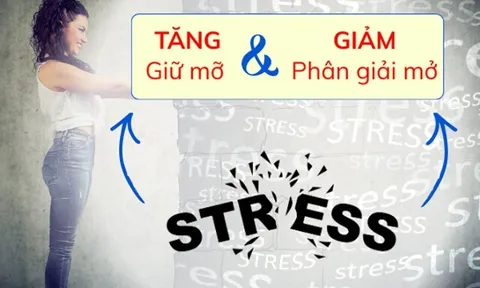 Vì sao càng căng thẳng càng khó giảm cân?