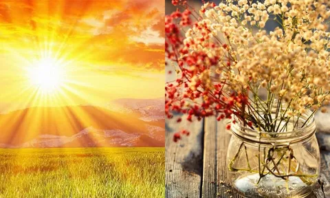 Đúng ngày đại cát 2/2 âm lịch: Làm 5 việc này, cả năm tài lộc hanh thông, ai cũng nên biết