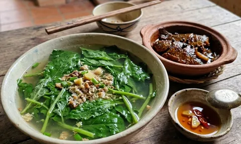 Loại rau dại mọc đầy bờ mương bỗng “lên đời” thành đặc sản, ai ăn thử cũng mê vì vị lạ