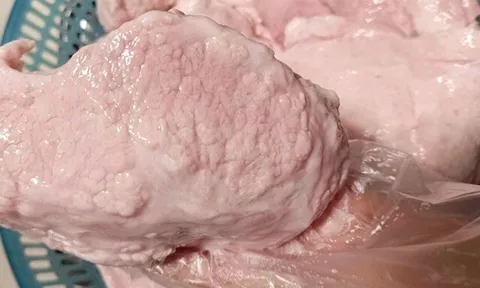 Đặc sản xưa ai cũng chê không dám ăn, giờ trở thành món ngon được ưa chuộng ở hàng quán, giá 400.000 đồng/kg