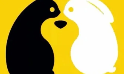 Trắc nghiệm: Bạn đã thấy hình ảnh nào từ cái nhìn đầu tiên?