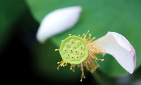 5 loại “Nhân quả” này, dù bạn là ai, giàu hay nghèo đến đâu đều không thể thoát khỏi