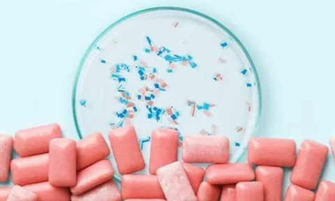 5 loại thực phẩm chứa nhiều vi nhựa nhất, loại đầu tiên khiến người Việt bất ngờ