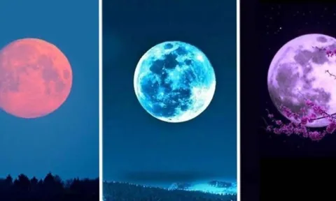 Trắc nghiệm chọn mặt trăng: Khám phá vận trình tài lộc, tình duyên và sự nghiệp sắp tới