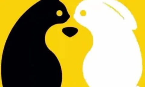 Trắc nghiệm tâm lý: Hình ảnh bạn nhìn thấy đầu tiên tiết lộ tính cách và tương lai của bạn