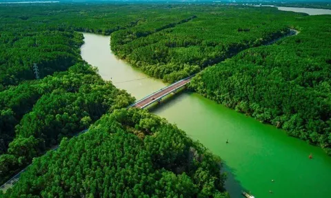 Nơi nào được mệnh danh “lá phổi xanh” ở TP.HCM, vừa có rừng vừa có biển, nổi tiếng với đặc sản thơm ngon?
