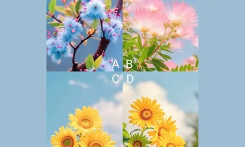 Trắc nghiệm tâm lý: Bạn đã sẵn sàng để mở ra cuộc đời mới tự do, rạng rỡ?