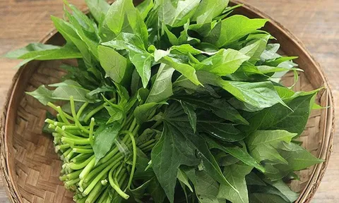 Không phải rau đắt tiền: Nhóm rau “ít thuốc trừ sâu” nên mua ngoài chợ, vừa sạch vừa rẻ