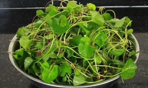 Top 5 loại rau củ giúp “giải nhiệt” gan, tăng cường thải độc tự nhiên