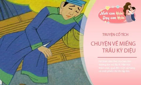 Truyện cổ tích: Miếng trầu kỳ diệu và giấc mộng của Hồ Sinh
