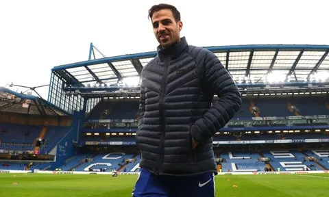 Cesc Fabregas: Làn gió mới giải cứu con tàu đắm Chelsea