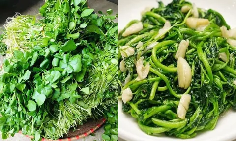 6 loại rau củ bán đầy chợ Việt được xem là ‘khắc tinh’ của ung thư cổ tử cung, chị em nên biết