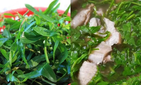 Cây dại ven bờ bỗng thành “đặc sản”: Loại rau lạ từng cho gia súc ăn, nay bán giá cao vẫn cháy hàng