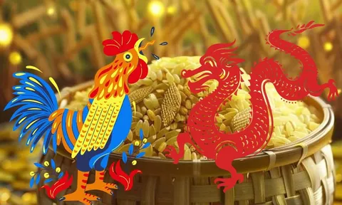 Năm 2026: Gặp đúng người đúng thời điểm, 3 con giáp “nước lên thuyền lên”, hợp tác là bật mạnh