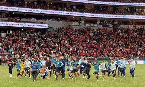 Lịch sử Đội tuyển Singapore: Hành trình của "Những chú Sư tử" Đông Nam Á