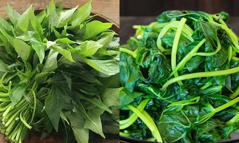 Loại rau rẻ bèo ngoài chợ Việt: Ăn đều đặn mới biết giá trị thật sự với sức khỏe