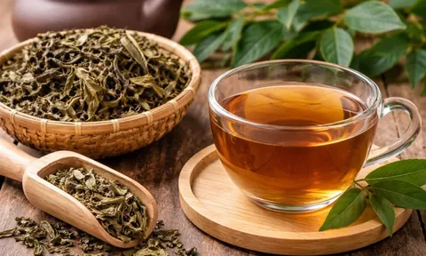  Những trường hợp nên cẩn trọng khi dùng nước xạ đen: Không phải ai uống cũng tốt