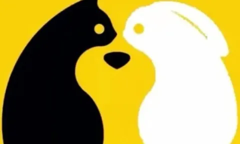 Trắc nghiệm thị giác: Bạn nhìn thấy hình ảnh nào đầu tiên?