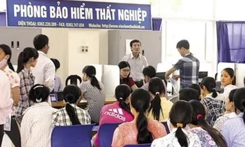 Có 13 trường hợp người lao động bị chấm dứt hưởng trợ cấp thất nghiệp