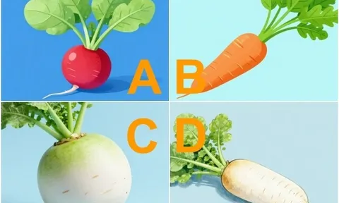 Trắc nghiệm: Chọn một loại quả, biết ngay bí mật mà chồng bạn giấu kín trong lòng