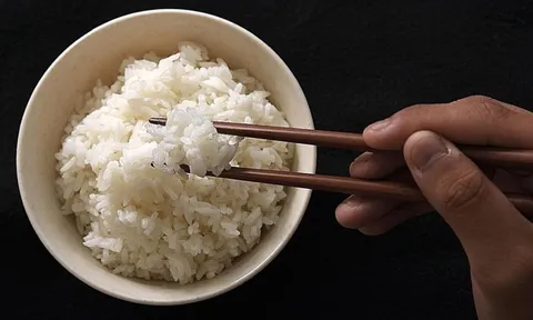 Thường xuyên ăn cơm tẻ vào bữa sáng, cơ thể có 5 thay đổi lớn