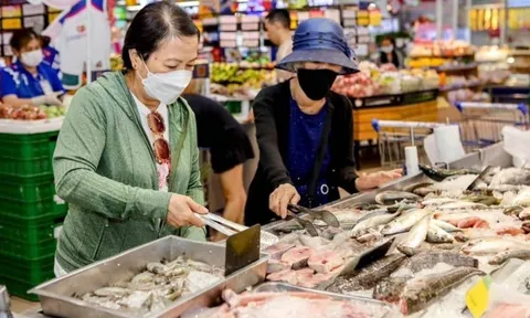 3 loại cá giàu DHA cực tốt cho não, giá bình dân trong siêu thị nhưng nhiều người Việt thường bỏ qua