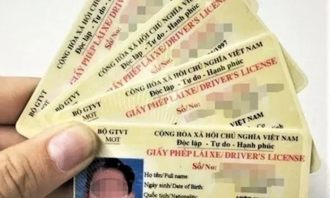 Theo quy định mới nhất, những trường hợp nào giấy phép lái xe không có hiệu lực?