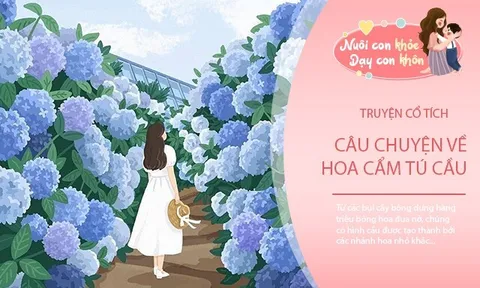 Truyện cổ tích: Sự tích hoa cẩm tú cầu