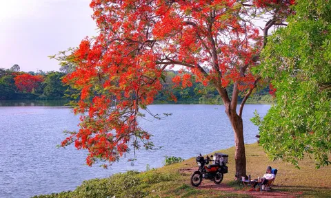 Lập Hạ 2026 vào ngày bao nhiêu?