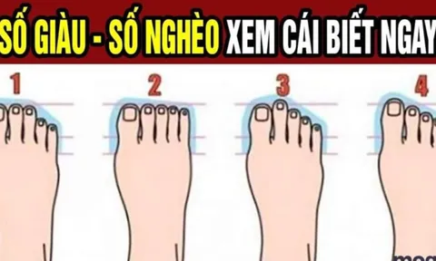 Tướng bàn chân giàu có: Đường đời trải hoa hồng