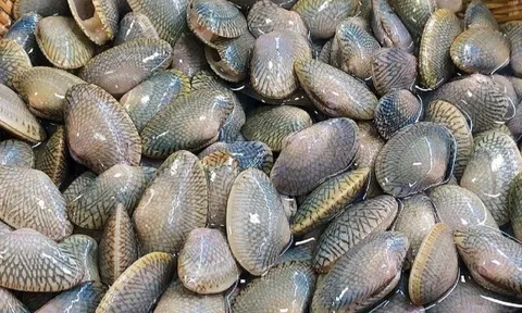 Đặc sản mang tên lạ, mỗi năm chỉ có một mùa, nay dân thành phố ưa chuộng vì hương vị đặc biệt