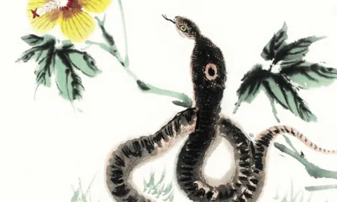 4 con giáp tháng 4 rực rỡ, vừa giàu vừa may