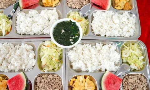 Vụ 300 tấn thịt lợn bệnh tuồn vào trường học: Lợn mắc dịch tả châu Phi có lây sang người khi ăn, chỉ nguy hiểm khi nào?