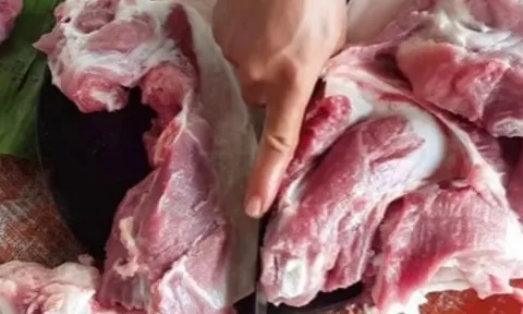 Vụ 300 tấn thịt bệnh tuồn vào trường học: Lợn mắc dịch tả có lây sang người khi ăn, chỉ nguy hiểm khi nào?