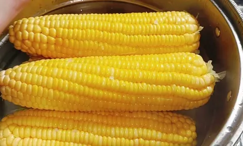 Luộc ngô thêm thứ này vào nồi, ngô ngọt - dẻo - thơm
